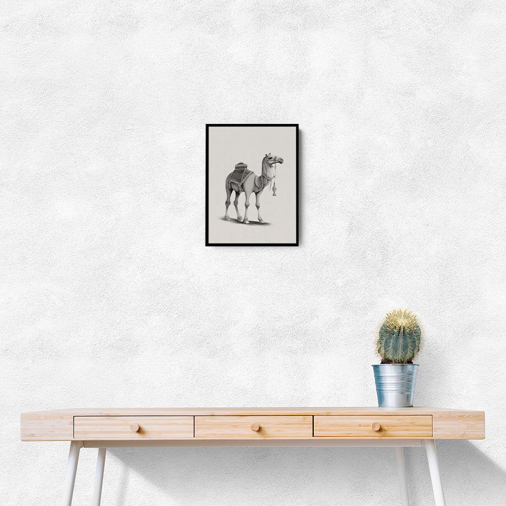 Graphic Camel Wall Art